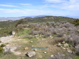 Yacimiento de la Almoloya 2007